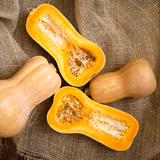 Butternut Squash – Pesticide Free