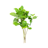 ليمون ونعناع - خالي من المبيدات الحشرية