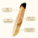 Sustainably-Sourced Palo Santo