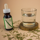 Be.do Rosemary Glycerin Tincture - wild Sinai rosemary extract for mental clarity and focus support