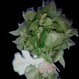 Fresh, pesticide-free basil leaves from El Kitchen Garden, grown in Egypt.