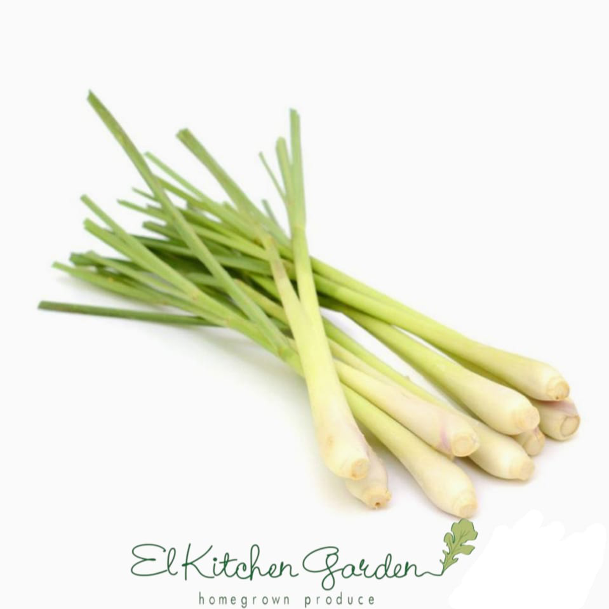 Fresh, pesticide-free lemongrass stalks from El Kitchen Garden, grown in Egypt
