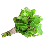 A fresh bunch of pesticide-free mint from El Kitchen Garden, grown in Egypt