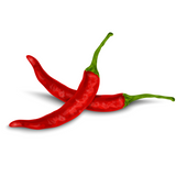 A bundle of fresh, colorful pesticide-free bell peppers from El Kitchen Garden, available at El Meraki.