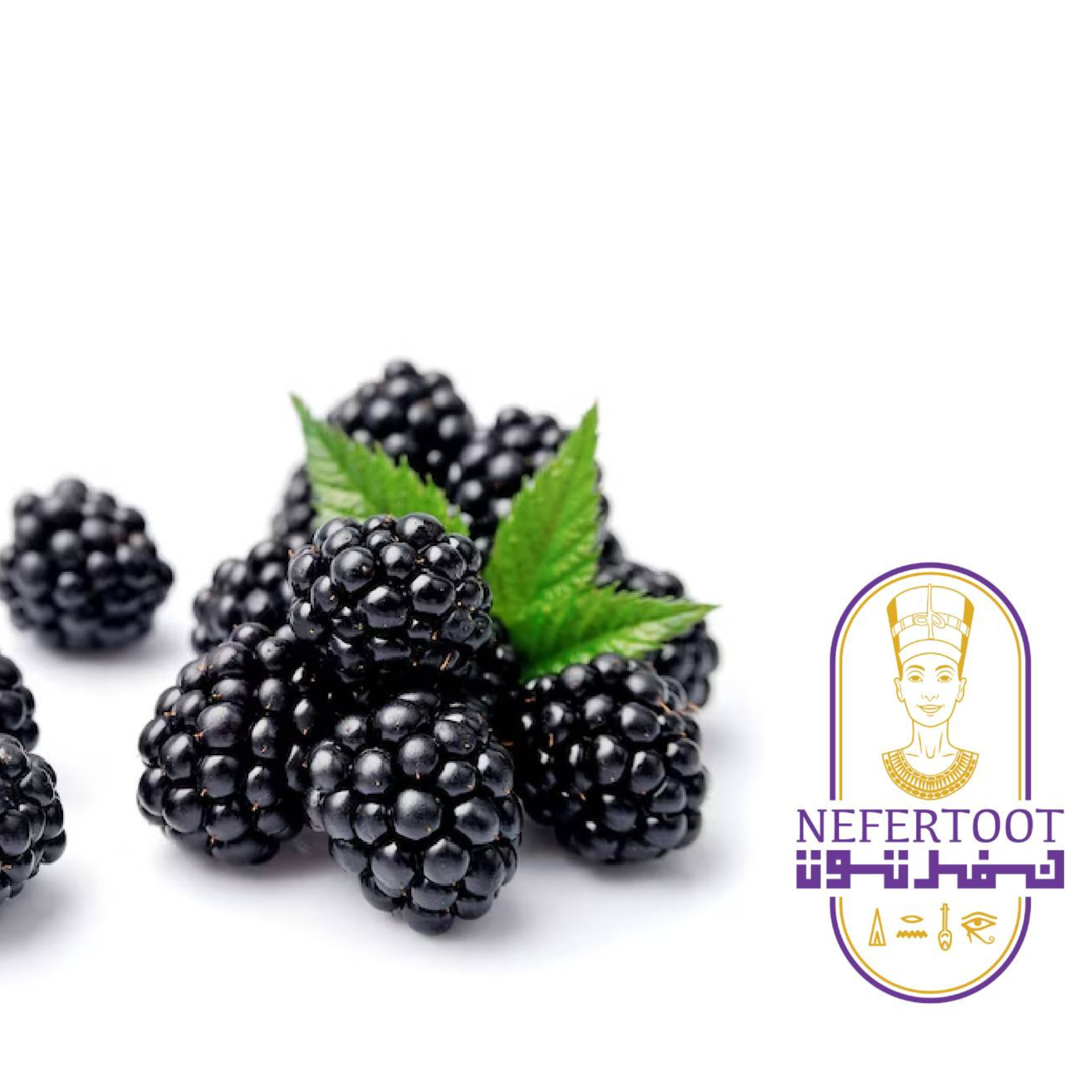Fresh Pesticide-Free Blackberries (125g) by Nefertoot - Egyptian-Grown Antioxidant-Rich Berries