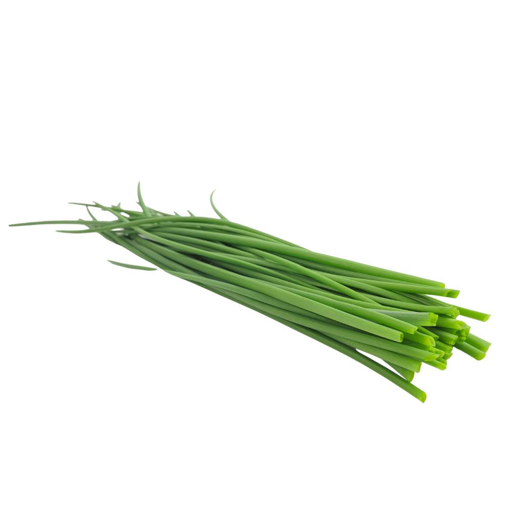 Fresh bunch of onion chives by Tulima – green, fragrant herb perfect for garnishing and cooking.