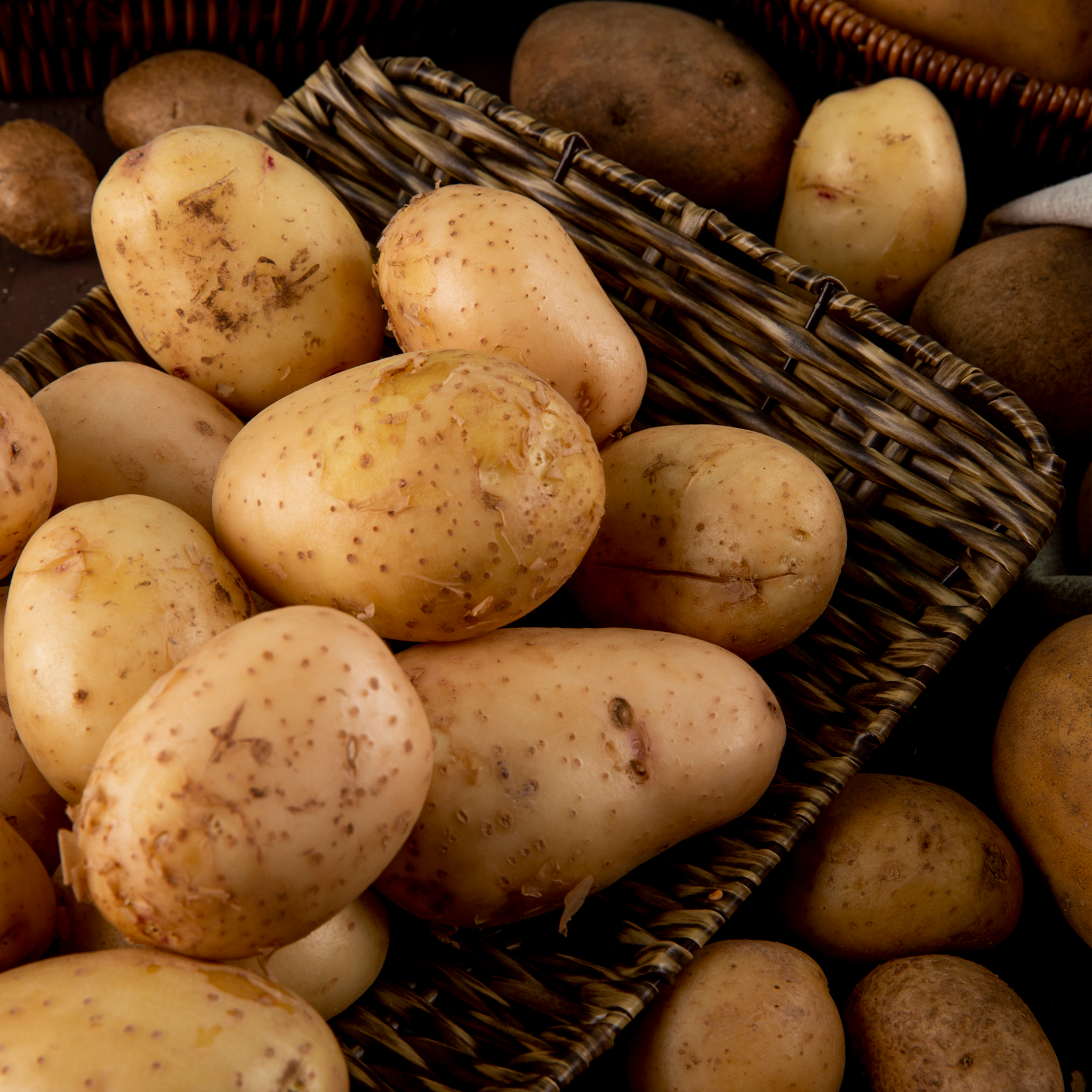 Fresh potatoes imported by Freshies – versatile all-purpose potatoes for everyday cooking.