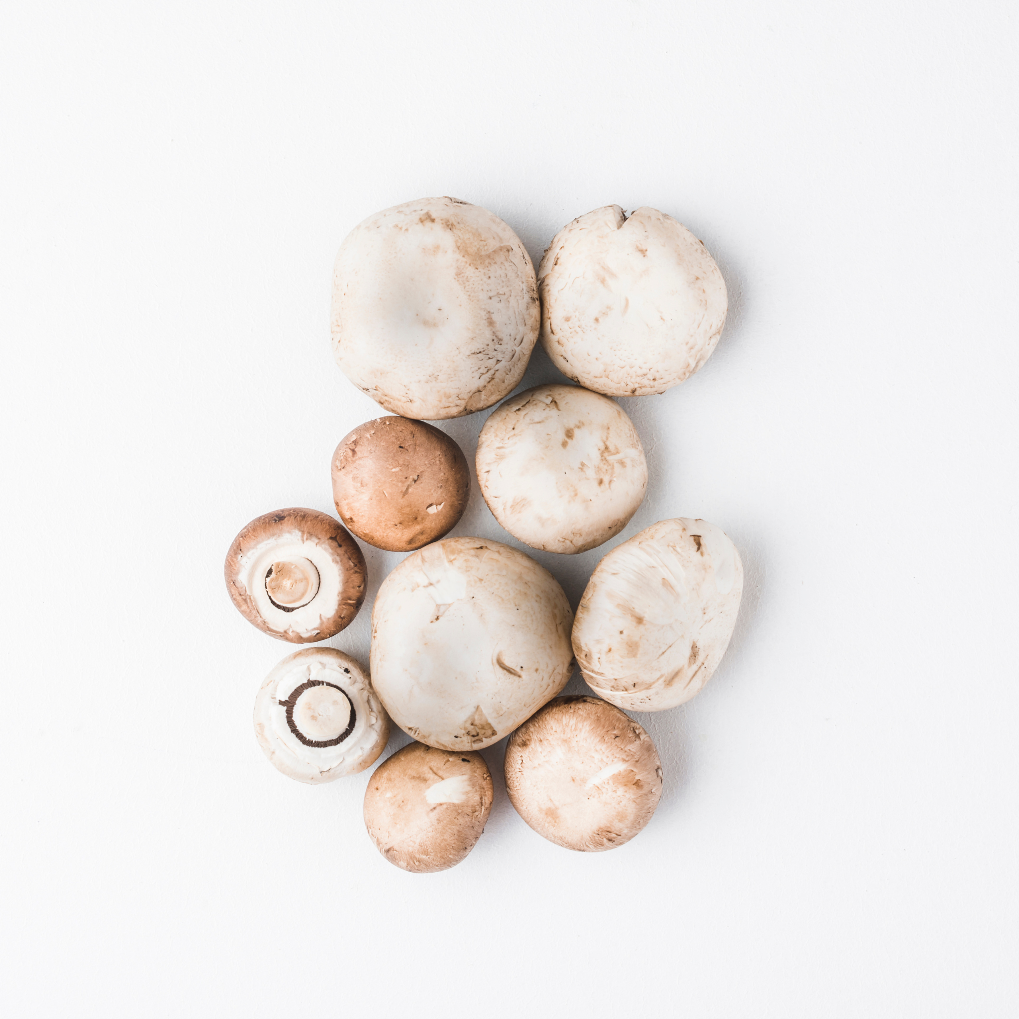 Fresh Pico White Mushrooms from Egypt, a nutrient-dense, low-calorie superfood.