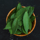 Fresh Egyptian-grown curry leaves from Tulima Farms, perfect for authentic tempering and curries