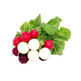 A vibrant mix of colorful Baby Radishes from Tulima Farms, Egypt, grown pesticide-free and sold fresh at El Meraki.