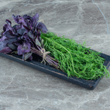 Fresh bunch of vibrant purple basil from Tulima Farms, an aromatic and pesticide-free herb.