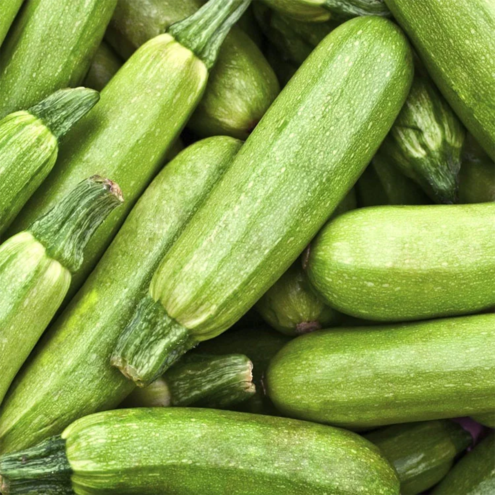 Fresh Zucchini by Tabi3y, available at Elmeraki, displayed in a basket with vibrant green zucchinis.