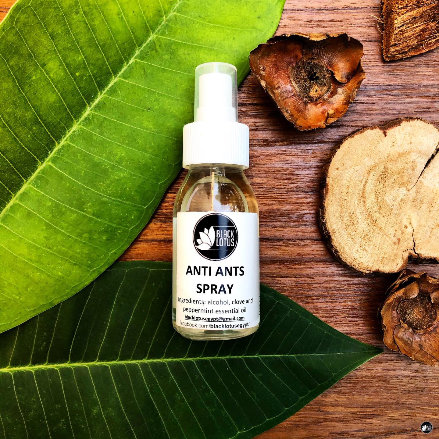 Black Lotus Natural Anti-Ants Spray with Clove & Peppermint – Made in Egypt