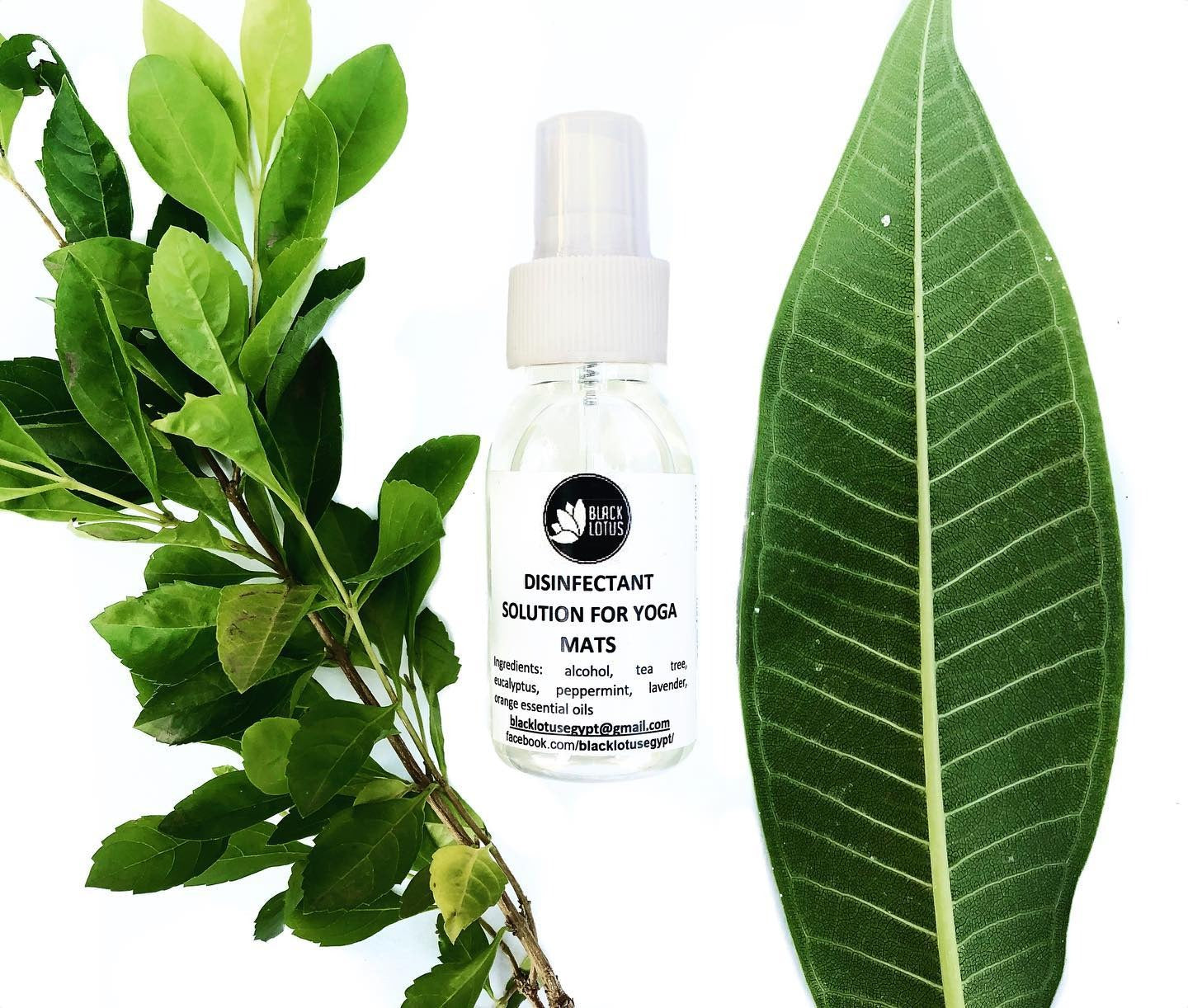 Black Lotus Yoga Mat Disinfectant Spray with tea tree, eucalyptus, and lavender, made in Egypt.
