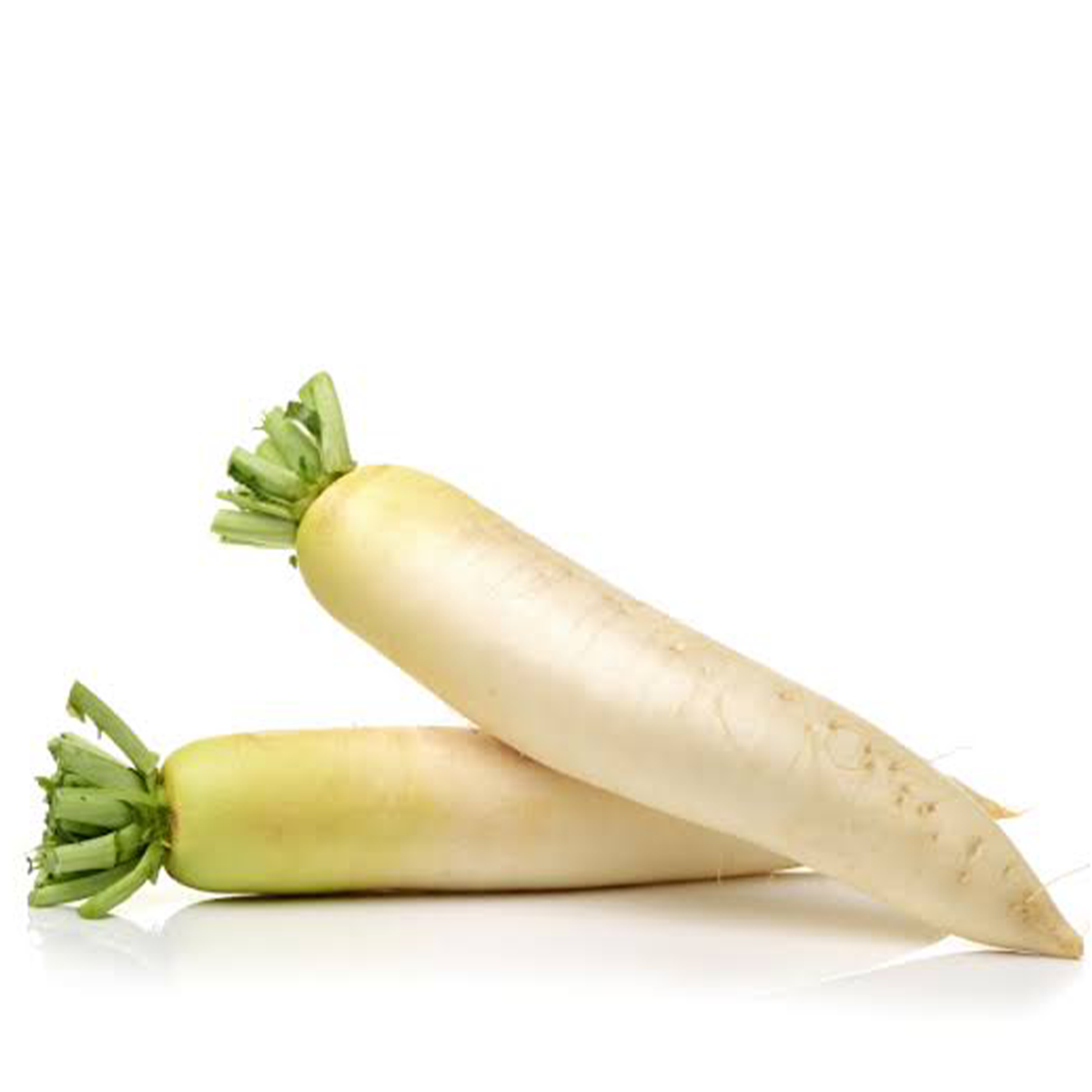 Chinese Radish Pesticide Free