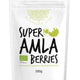 Organic Amla Powder – 200 g by Ayul ( Preorder )