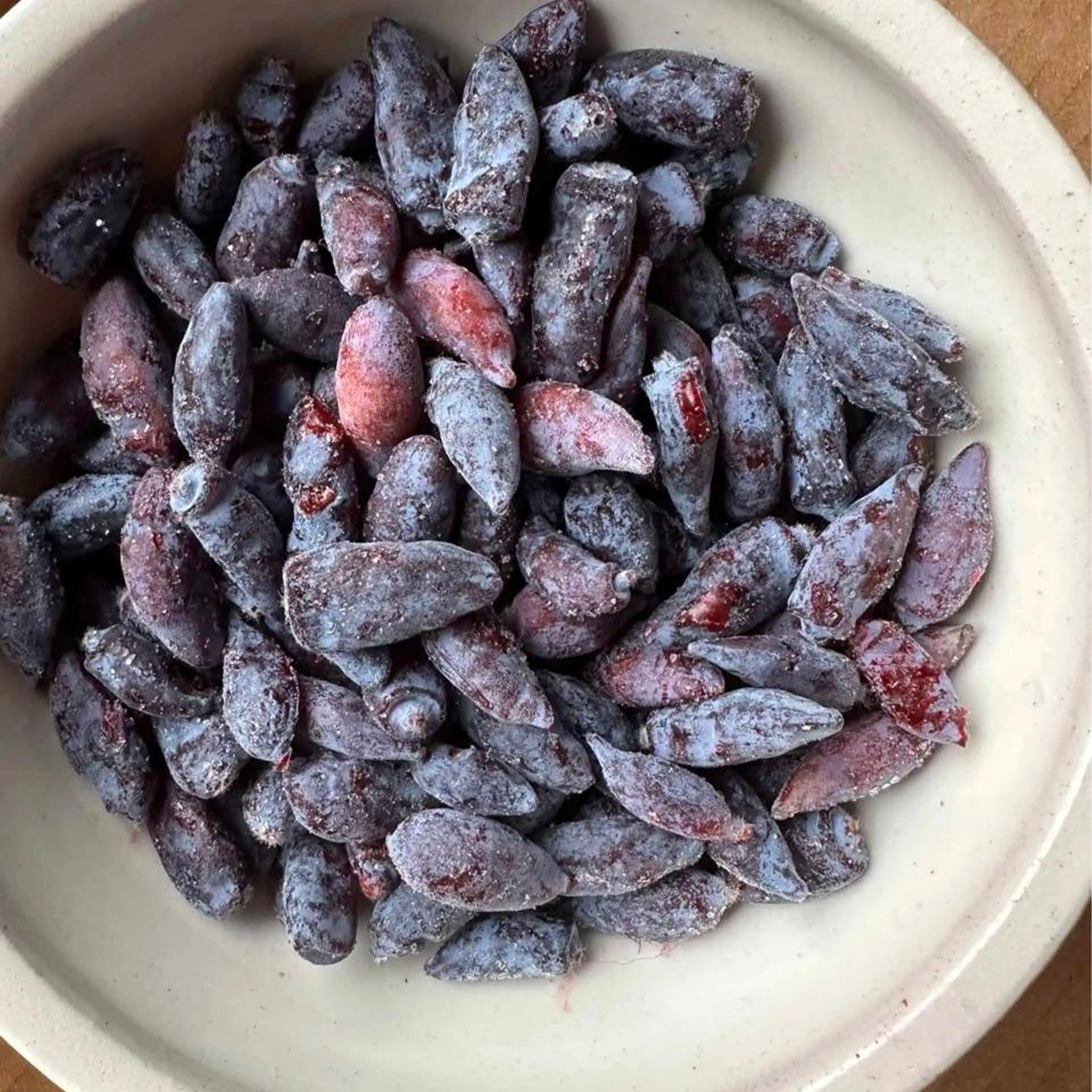 توت هاسكاب