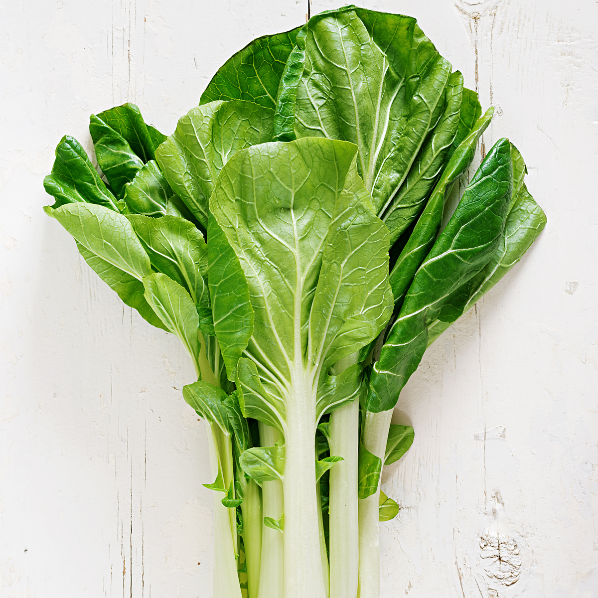 Mini Bok Choy - Pesticide Free