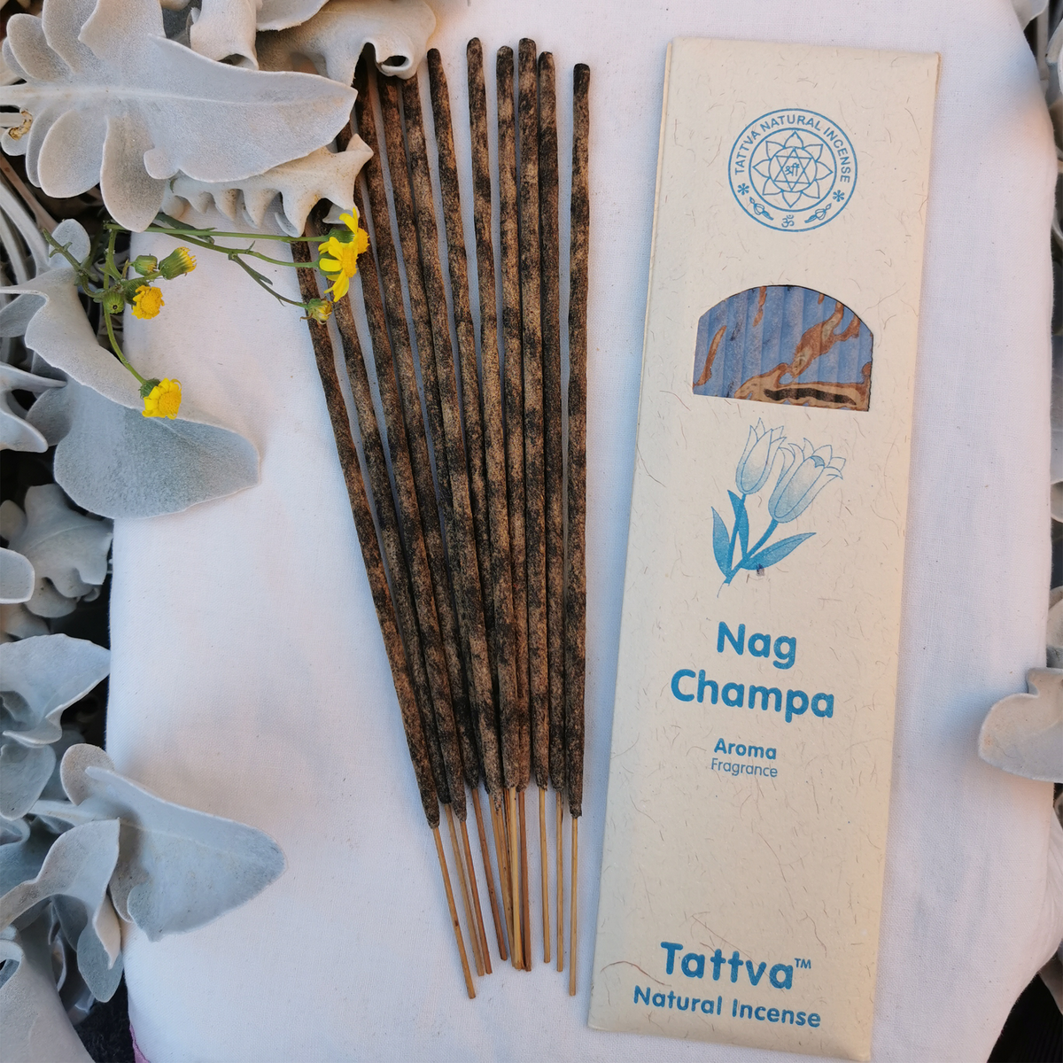 Holistica’s Natural Incense Collection