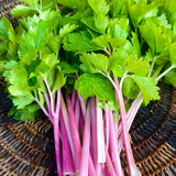 Pink Celery Juicing Sticks