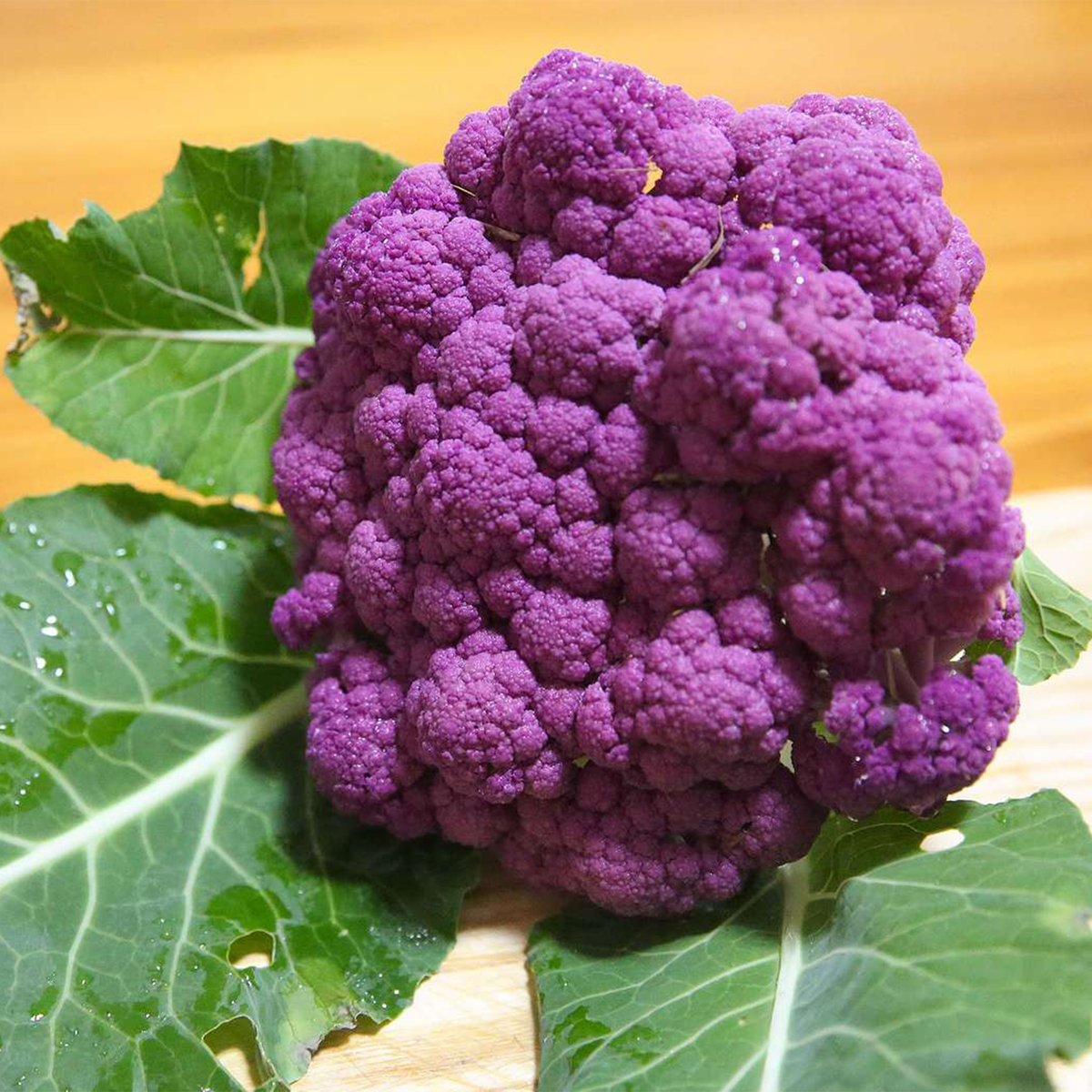 Purple Cauliflower – Pesticide Free