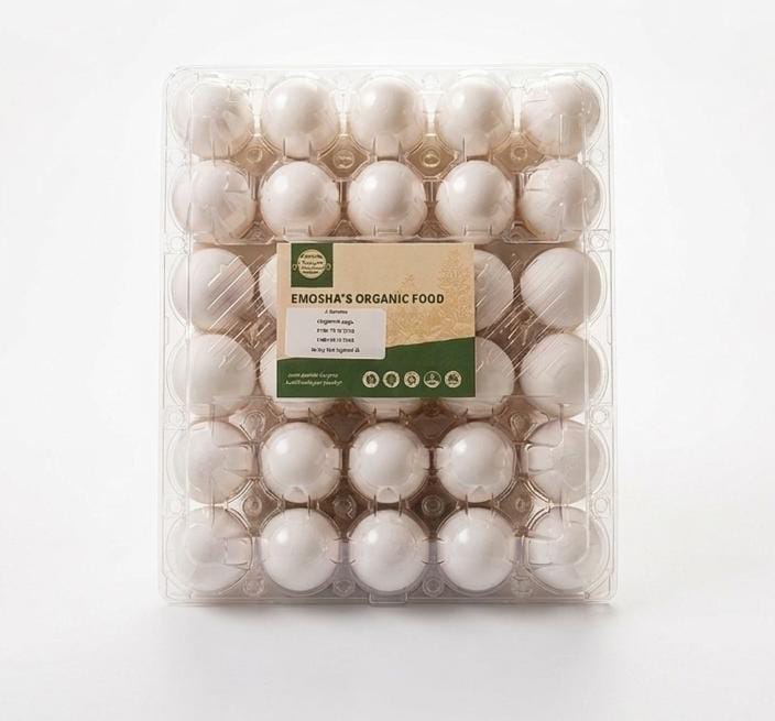 White Eggs