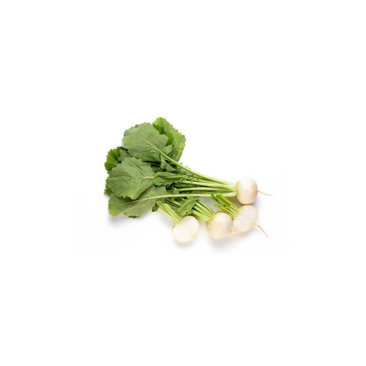 White Radish - Pesticide Free