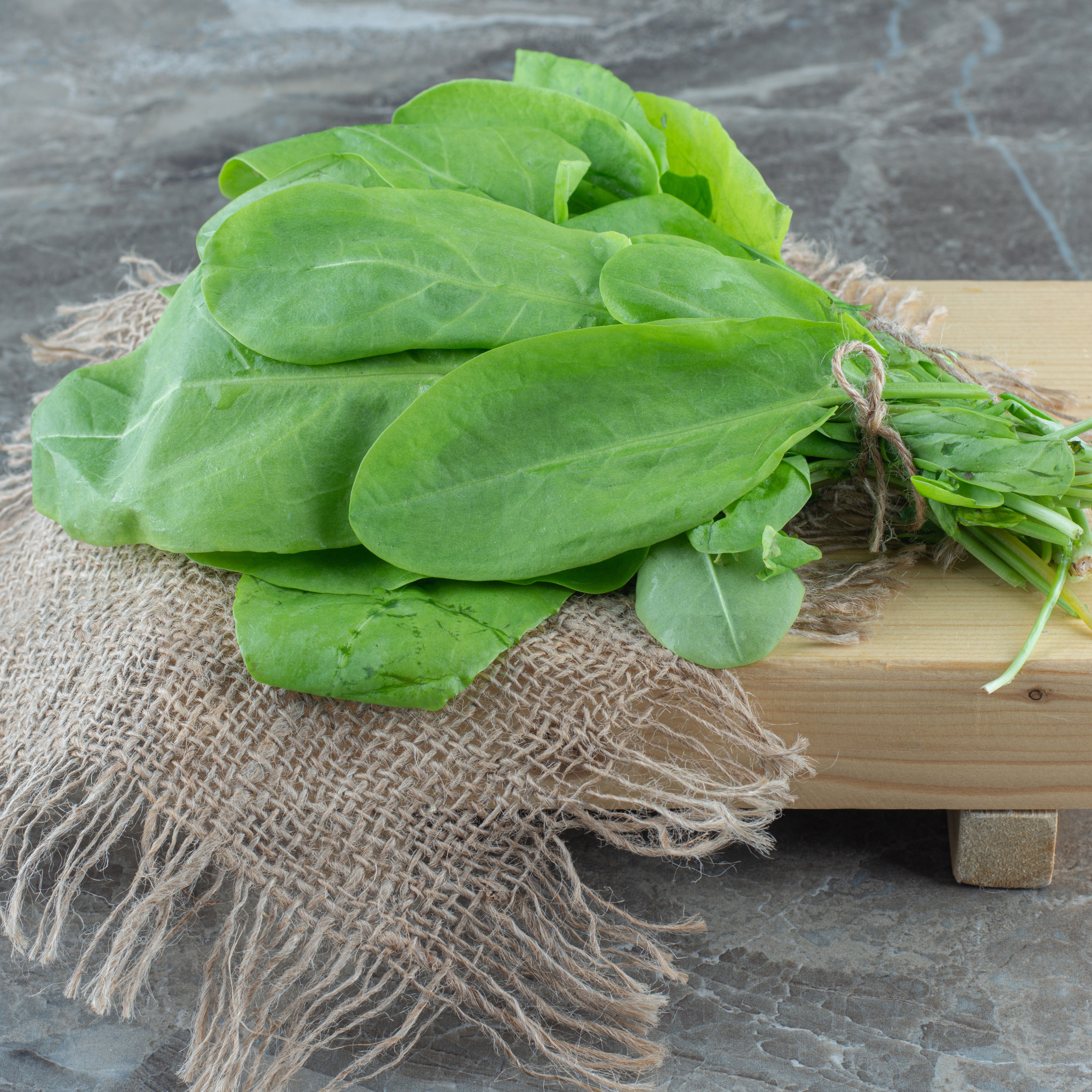 Fresh bunch of pesticide-free Baby Swiss Chard from Tulima Farms, showing vibrant green leaves and colorful stems