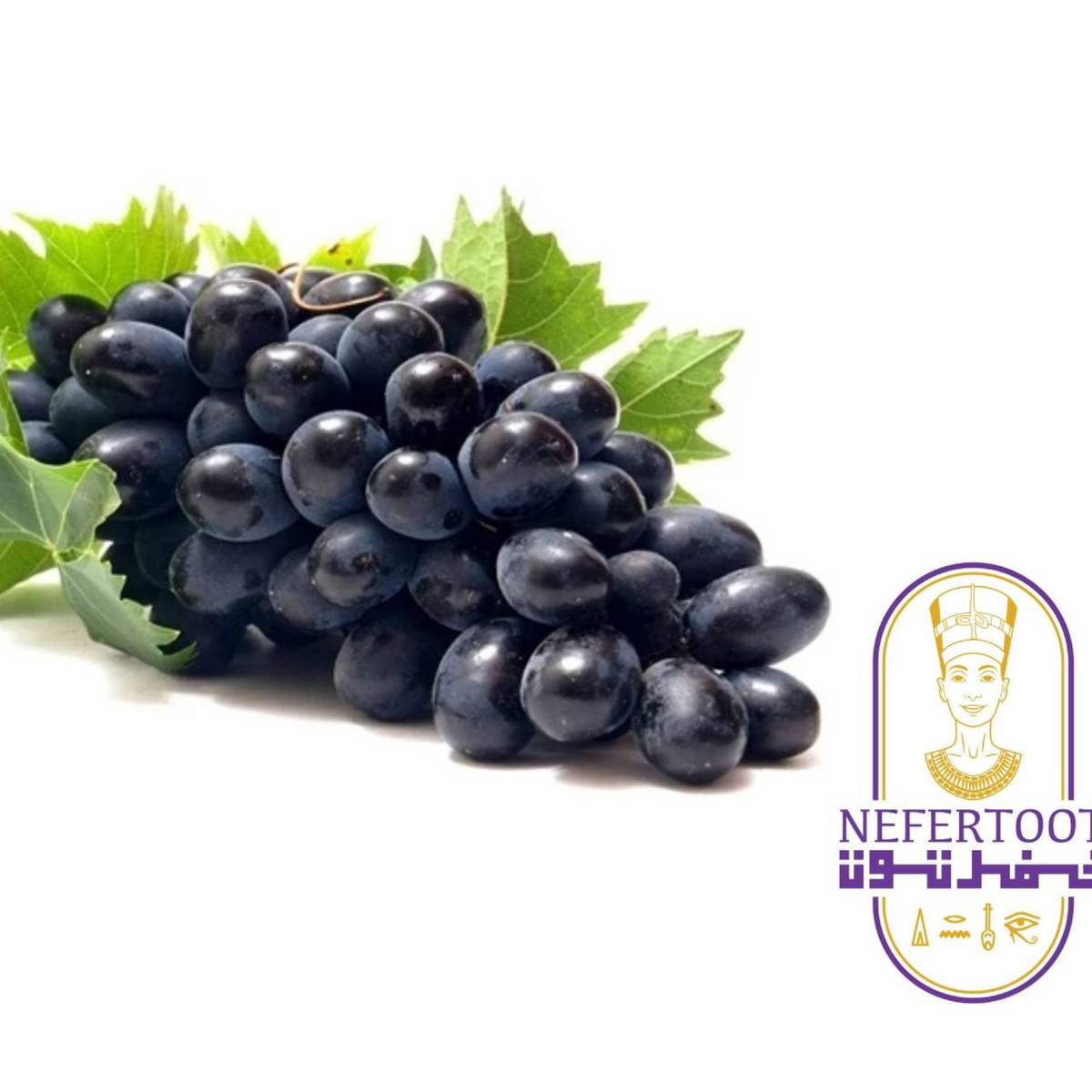 Fresh Black Seedless Grapes (500g) by Nefertoot – Sweet, Juicy, and Naturally Grown in Egypt