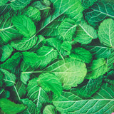 Blessed Journey Organic Wild Peppermint Leaf in resealable bag from El Meraki, a potent Egyptian herbal tea for energy and digestion.