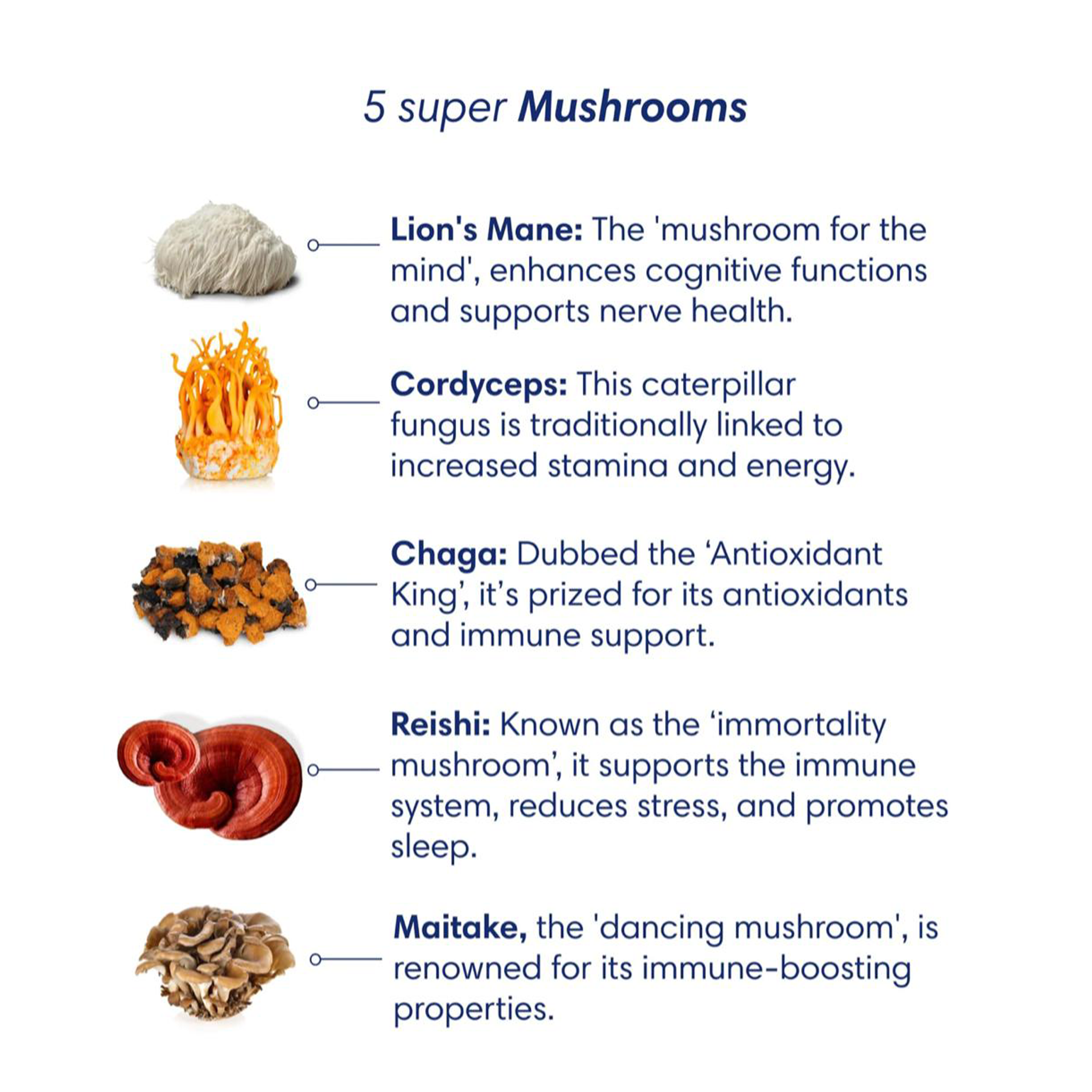 Clearly Not Coffee adaptogenic beverage blend in packaging with scoop.