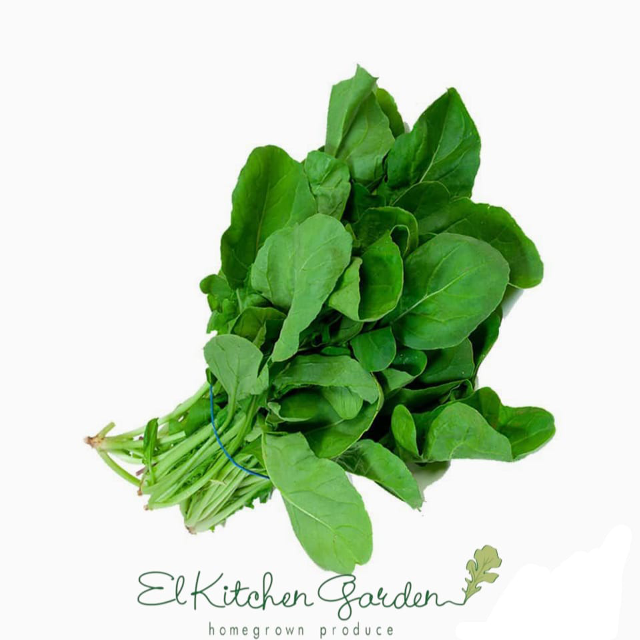 A fresh bunch of pesticide-free arugula from El Kitchen Garden, showcasing its dark green, peppery leaves.

