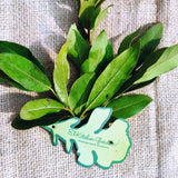 A packet of whole, pesticide-free dried bay leaves from El Kitchen Garden, grown in Egypt.