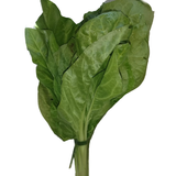 Fresh, pesticide-free Swiss chard with vibrant green leaves and colorful stems from El Kitchen Garden, available at El Meraki.