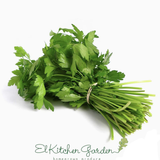 A fresh bunch of pesticide-free coriander (cilantro) from El Kitchen Garden, showcasing vibrant green leaves and stems.
