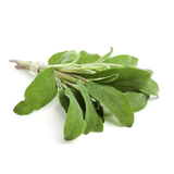 Fresh, pesticide-free sage leaves from El Kitchen Garden, grown in Egypt.