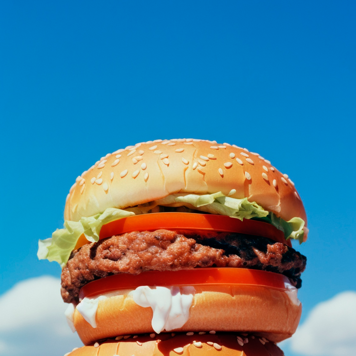  kaju classic burger patties – ready to cook, made in egypt.