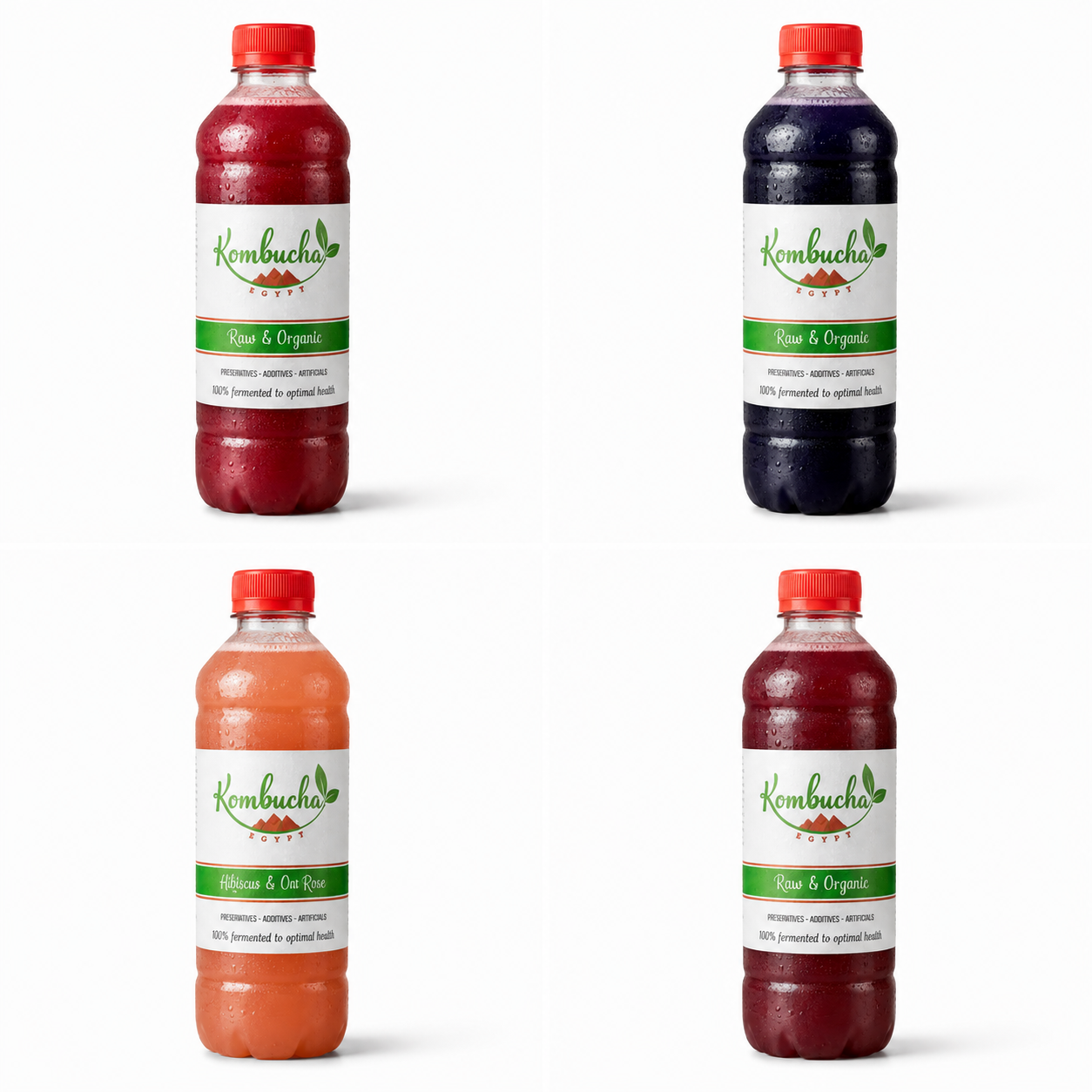 Kombucha Egypt assorted kombucha flavors collection including Black Cherry, Blackberry, Mango, and Raspberry 1L bottles on white background