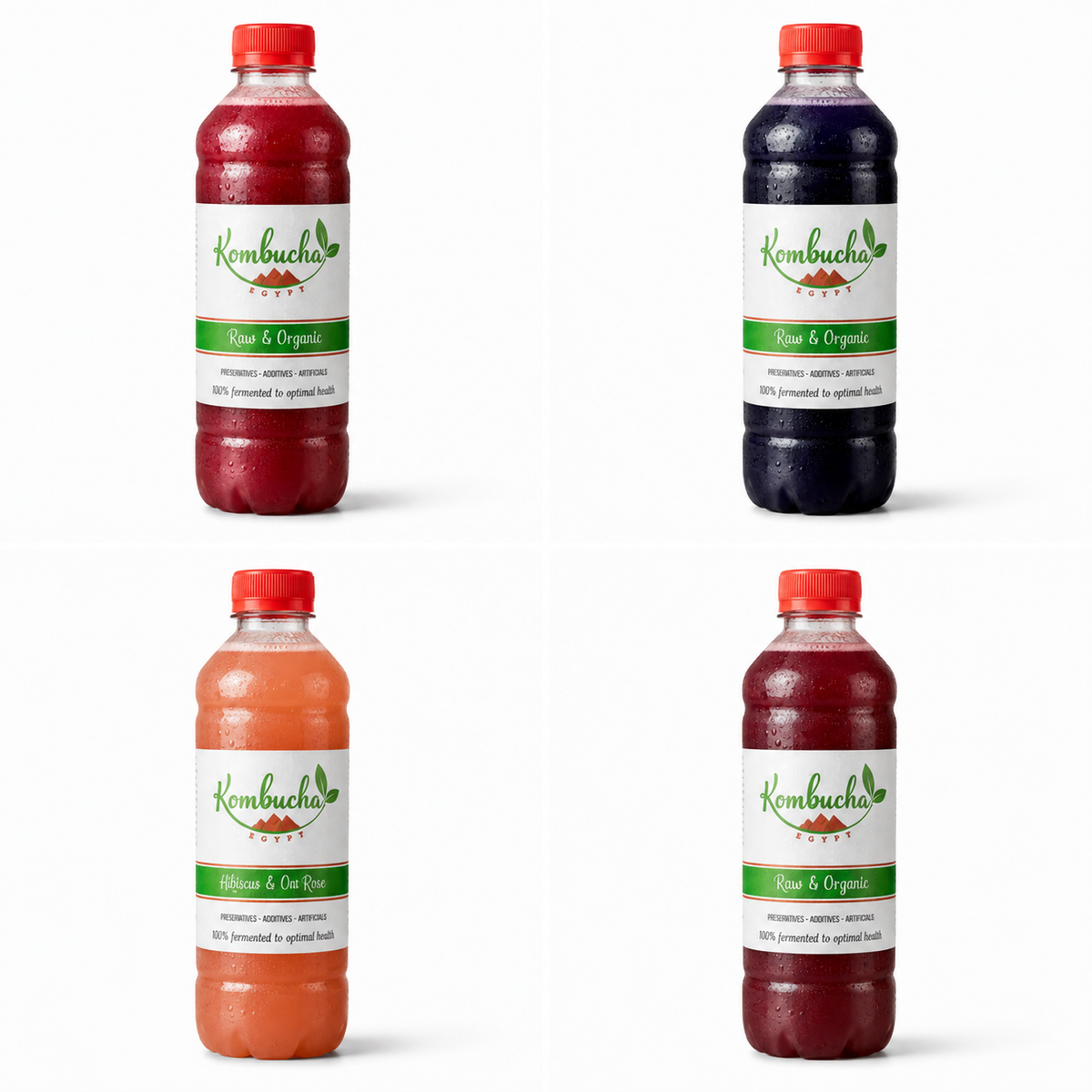 Kombucha Egypt assorted kombucha flavors collection including Black Cherry, Blackberry, Mango, and Raspberry 1L bottles on white background