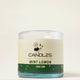 Light Green Ease - Him & Her Collection (Mint Lemon)