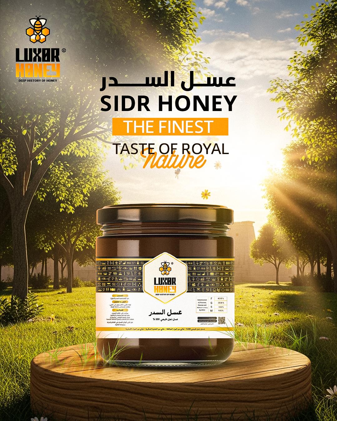Jar of dark, rich Luxor Sidr Raw Honey from Egypt, showing its thick and creamy texture.