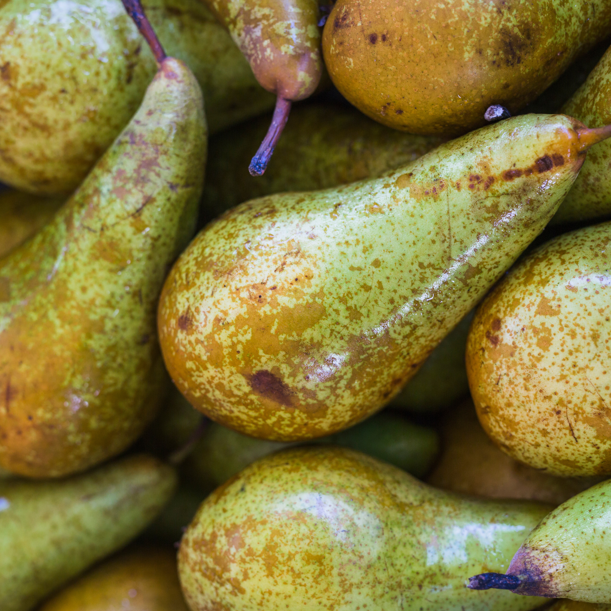Fresh Pico African Pear fruit from Egypt, a nutritious superfood rich in healthy fats and vitamins.