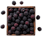A box of fresh, dark Pico Blackberries from Egypt, an antioxidant-rich superfood for health.