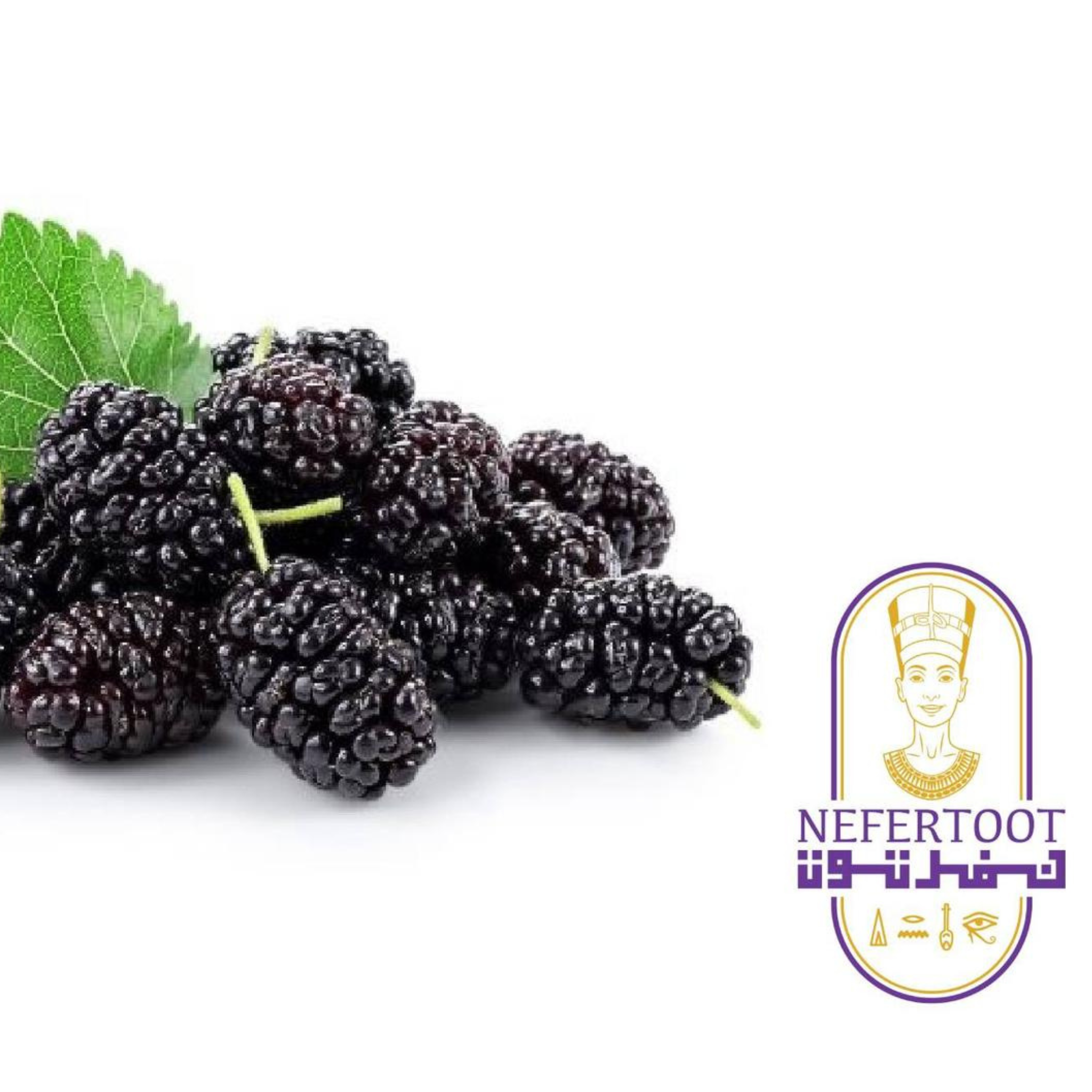 Premium Black Mulberries (125g) by Nefertoot - Rare Antioxidant-Rich Egyptian Superfood Berries