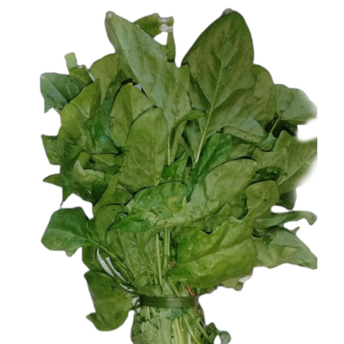 Spinach Pesticide Free