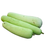 Squash Pesticide Free