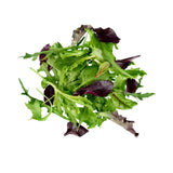 A fresh, vibrant mix of sorrel, Batavia, oakleaf, arugula, and baby spinach in Tulima Farms' "Be Good Mix" from Egypt.