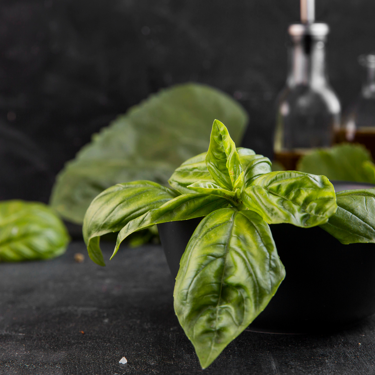 Fresh Egyptian-grown basil mix from Tulima Farms, cultivated in Egypt.