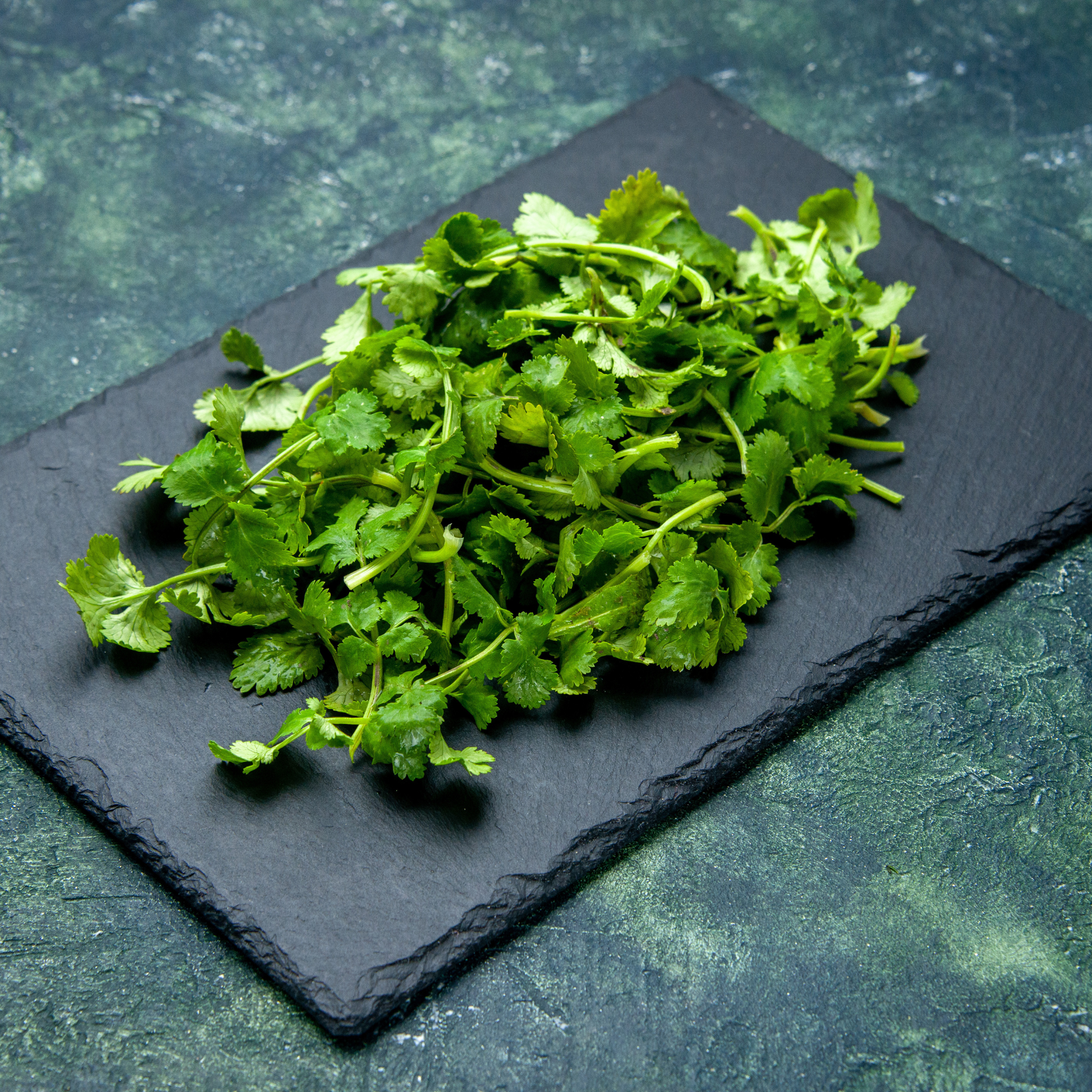 Fresh Egyptian-grown microgreen arugula from Tulima Farms, vibrant peppery greens