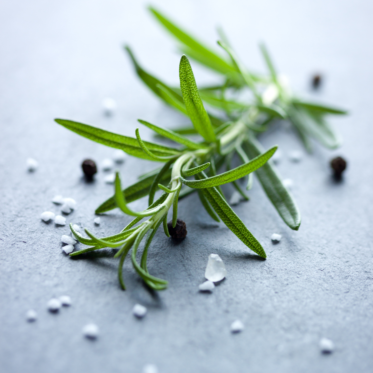 Fresh Egyptian-grown rosemary sprigs from Tulima Farms, ideal for roasting and Mediterranean cuisine